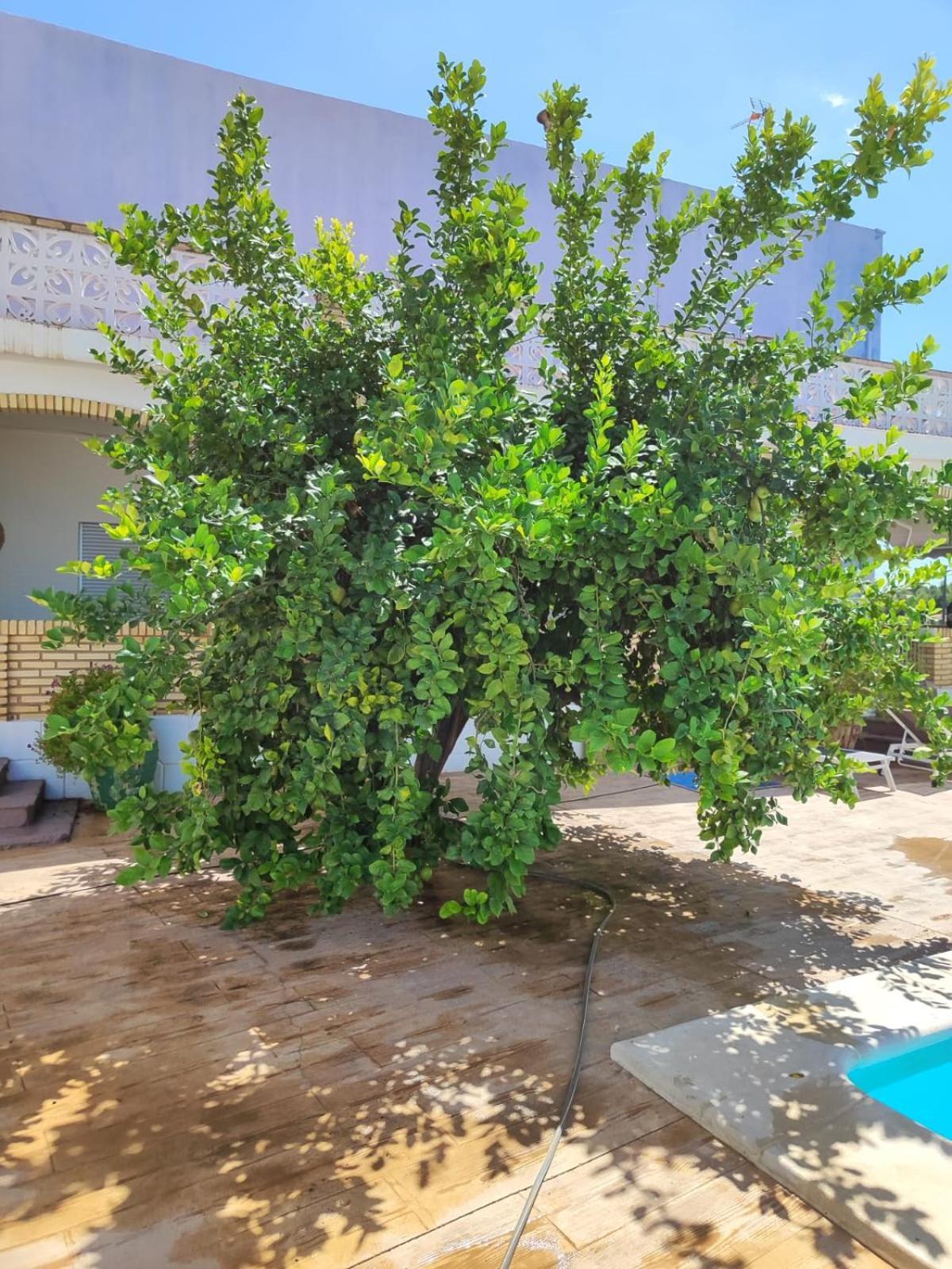 Вилла El Recreo, Private Pool & Bbq Godelleta Экстерьер фото